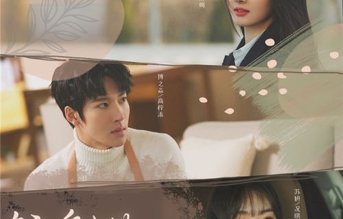 短剧巧识少年情深种——84集的青春与挚爱