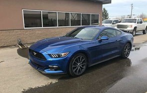 福特野马眼镜蛇多少万(福特 野马眼镜蛇)