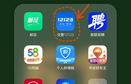 在线选车(在线选车牌号的APP叫什么)