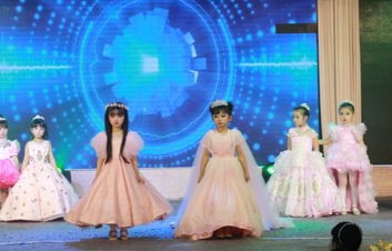 短剧摘星之旅的璀璨旅程，88集的精彩回顾