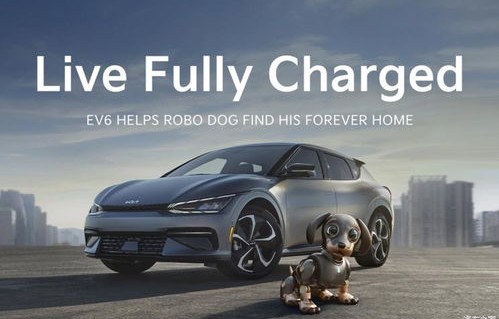 2020汽车大全(2022汽车大全)