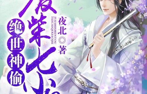 绝世神婿，逆袭之路的荣耀与挑战