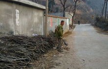 阳光照进小山村——杨景景的60集短剧之旅