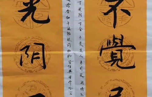 叶嘉莹先生，无私奉献的慈善楷模