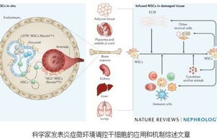 缺觉与全身炎症状态的密切关系