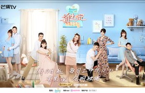 短剧幸孕双宝，神秘爹地宠上天——百集精彩纷呈，演绎家庭情感大戏