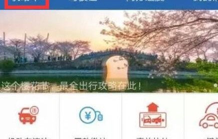 违章查询(违章查询非本人车辆)