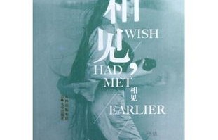 短剧叶总来生不愿再相见的深度解读与赏析