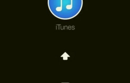 屏幕是黑的(手机能开机但是屏幕是黑的)