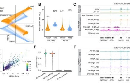 偏振光成像技术，原理、应用与未来展望