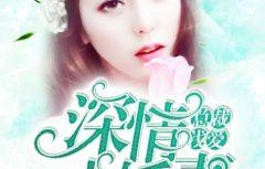 短剧霸道总裁的神医老婆——一场跨越身份与命运的深情长篇