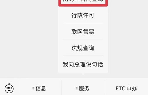 一键查询违章(查一查违章记录)