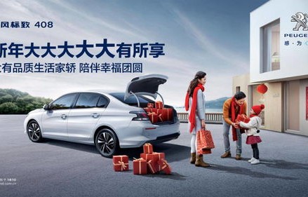 为什么很少人开标致车(开标致车的都是什么人)