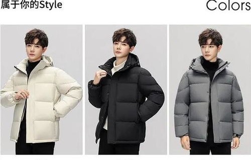 胖东来线上羽绒服购买指南，轻松选购自营羽绒服