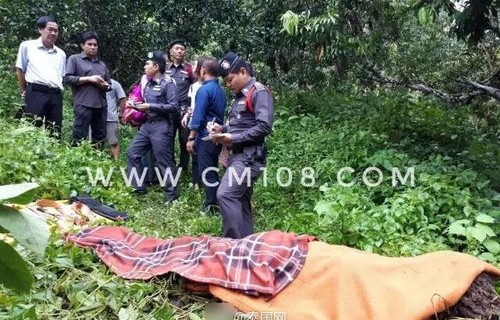 女游客泰国遭遇悲剧，给大象洗澡时意外被刺身亡