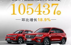 中国销量前十名的汽车(中国销量前十名的汽车车型)