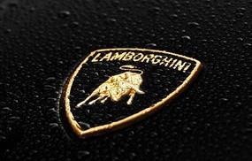 兰博基尼车标(兰博基尼车标图片大图)