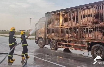 男子助人运送八百万现金，半路卷款潜逃事件深度剖析