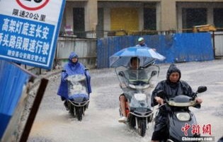 女子因电动自行车罚款状告市政府，权利与责任的较量