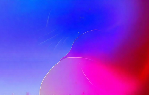 2021最火壁纸全屏（2021最火壁纸全屏高清）