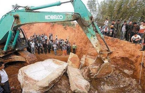 吉林挖机师傅的意外奇遇，偶遇老虎巡山