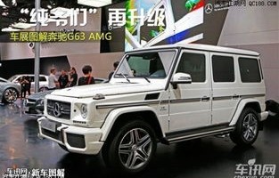 奔驰g65(奔驰g65amg报价及图片)