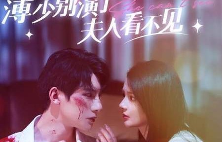 短剧夫人，请再爱我一次，百集情感之旅