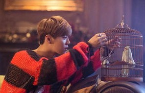 短剧梦境中的你——95集的奇幻之旅