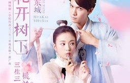 重生之首富王妃的短剧传奇