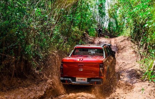 长城皮卡最新款(长城皮卡最新款柴油版加长版)