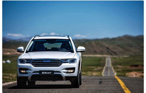 哈弗车型大全及价格表(哈弗车型大全及价格表车头红标)