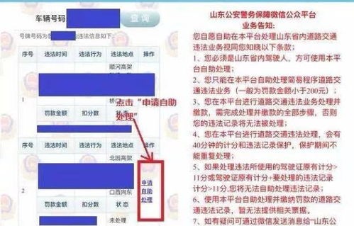 交警123123违章交费(交警123123违章交费怎么下载)