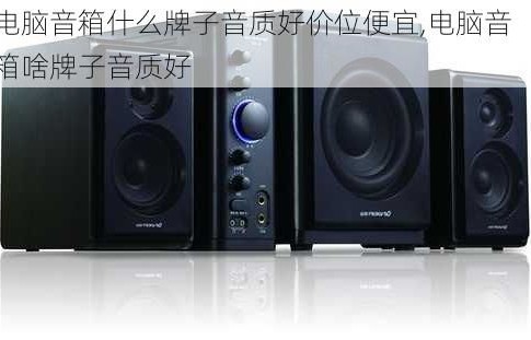 音响什么牌子音质好(家用音响什么牌子音质好)
