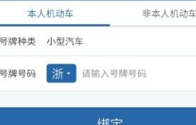 交管查违章车辆查询(交管怎么查询车辆违章)