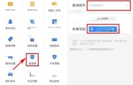 快速查违章车辆查询(快速查违章车辆查询官网)