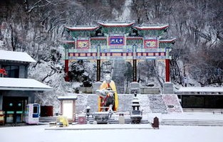 老君山景区紧急闭园事件深度解析