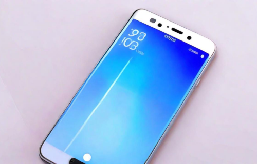 vivox9s（vivox9s屏幕多大尺寸）