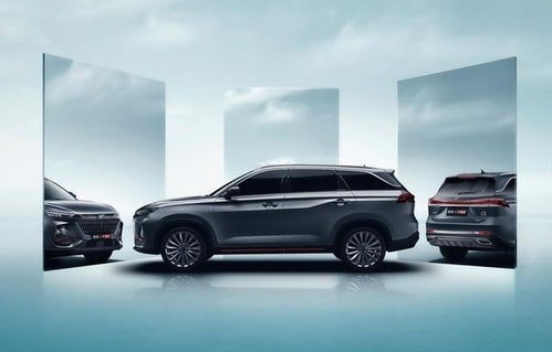 欧尚x7(欧尚X7油耗多少真实油耗)