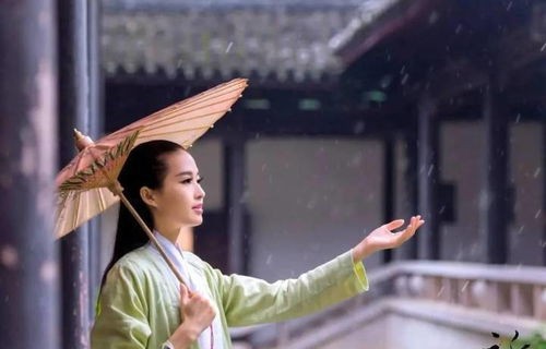 短剧如梦令之替嫁娘子——高手的魅力之旅