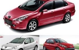 东风标致307汽车(东风标致307汽车故障灯标志图解)