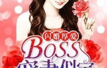 短剧闪婚厚爱——百集情感之旅