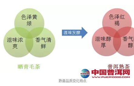 探究休耻感的成因与影响