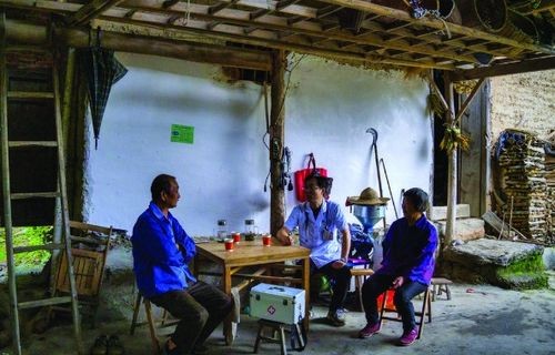 短剧桃源小村医，51集的乡村故事