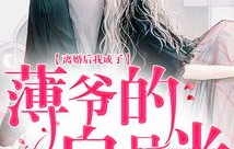 短剧一代圣手，从离婚后崛起——人生逆袭的100集篇章