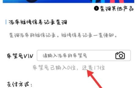 车辆查询信息(车辆查询信息在哪里查)