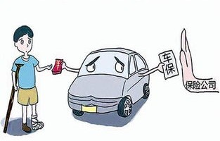 老司机只买三种保险(老司机只买三种保险有反点吗)