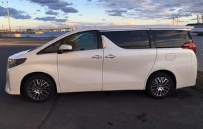 埃尔法商务车汽车图片及价格(埃尔法商务车汽车图片及价格大全)