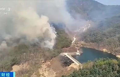 福建闽侯山火事件,警钟长鸣,守护绿色家园