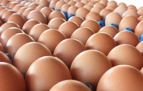 下周油价将迎来2025年第3次调整——市场动态与影响分析