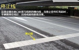 道路标线大全及图解(道路标线大全及图解尺寸)